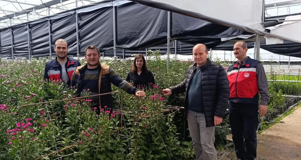 Aydın Grow Simav Jeotermal Sera