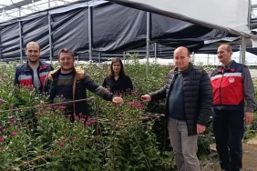 Aydın Grow Simav Jeotermal Sera