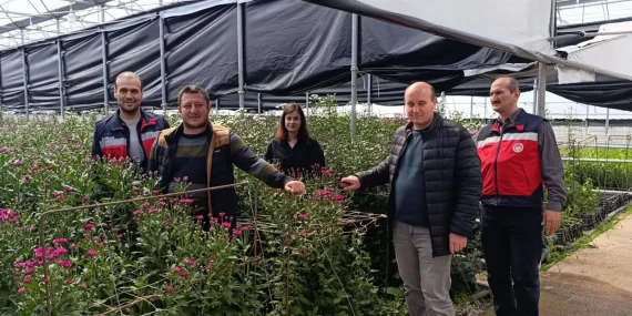 Aydin Grow Jeotermal Seralarında Üretilen Kesme Çiçekler Avrupa’ya Gönderiliyor