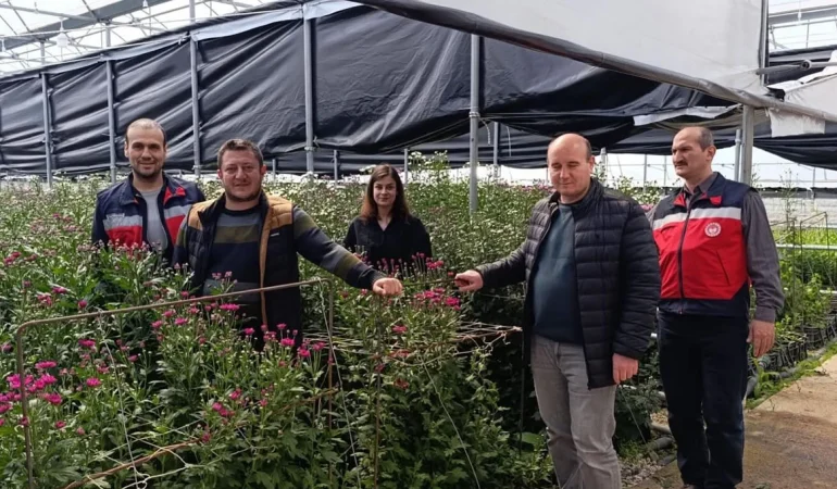 Aydin Grow Jeotermal Seralarında Üretilen Kesme Çiçekler Avrupa’ya Gönderiliyor