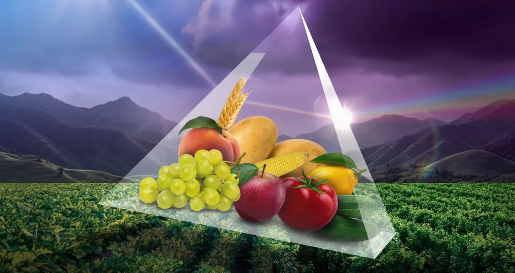 Bayer_Ambition_Prime_1