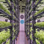 Farmicca_Tesis_004