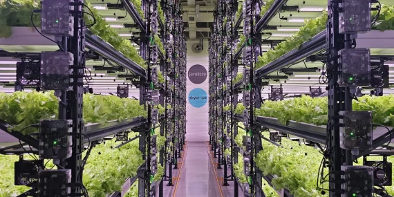 Farmicca dan Dikey Tarım Devrimi: %30 Enerji Verimliliği, %99 Su Tasarrufu