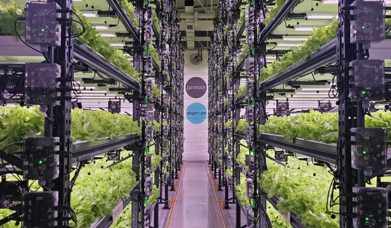 Farmicca dan Dikey Tarım Devrimi: %30 Enerji Verimliliği, %99 Su Tasarrufu