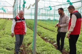 Haliliye_Mehmet Salih SÖĞÜT_sera_ziyaret