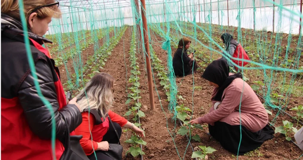 Haliliye_Mehmet Salih SÖĞÜT_sera_ziyaret2