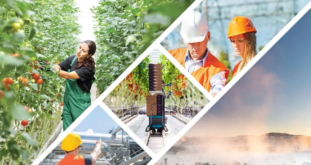 Jeotermal Sera Sektörler Kolaj JED