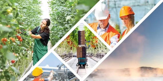 Doğu Anadolu Jeotermal Seracılıkta Yeni Merkez Olabilir