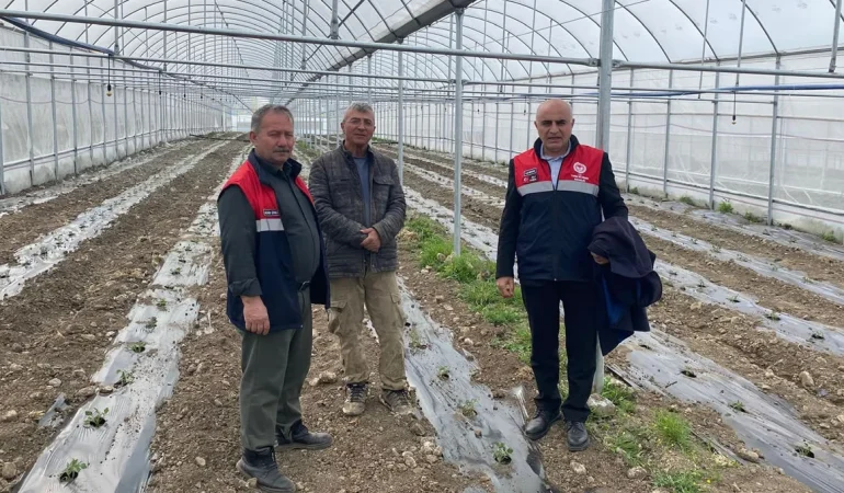 Mecitözü’nde Sera ve Sulama Yatırımları Yakından Takip Edildi