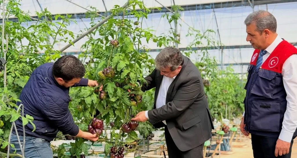 Mersin_Delil_Sera_13042026_2