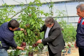 Mersin_Delil_Sera_13042026_2