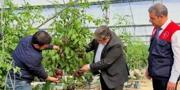 Mersin_Delil_Sera_13042026_2