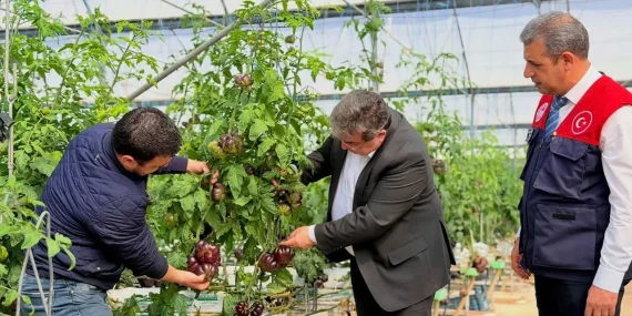 Mersin’de Modern Tarım Uygulamaları Delil Sera da Değerlendirildi