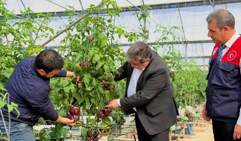 Mersin’de Modern Tarım Uygulamaları Delil Sera da Değerlendirildi