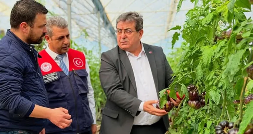 Mersin_Delil_Sera_3042026