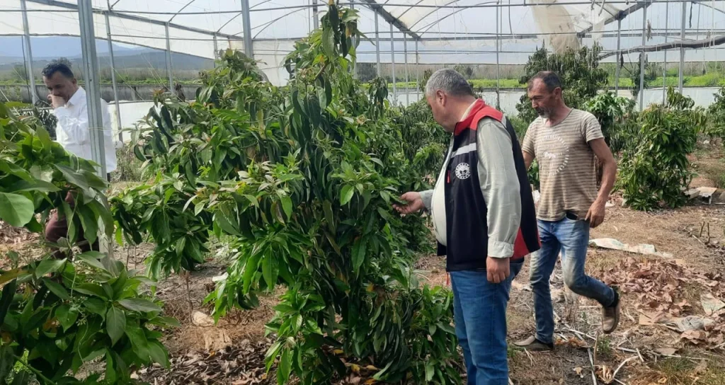 Osmaniye_sumbas_sera15042026