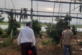 Osmaniye_sumbas_sera15042026_2