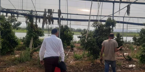 Osmaniye Sumbas da Sera Kontrolleri ile Bitki Sağlığı Yakından Takip Ediliyor