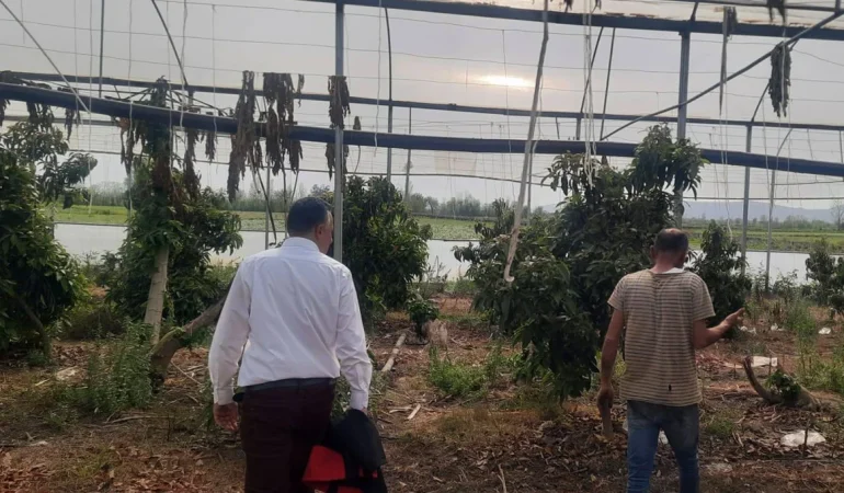 Osmaniye Sumbas da Sera Kontrolleri ile Bitki Sağlığı Yakından Takip Ediliyor