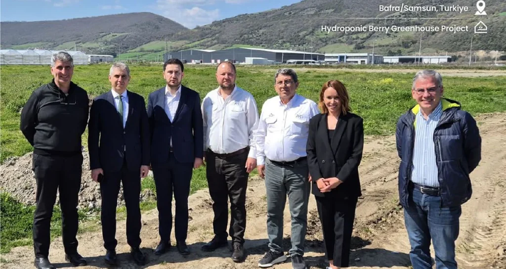 ays_bafra_sera_pure_harvest