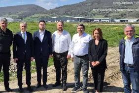 ays_bafra_sera_pure_harvest