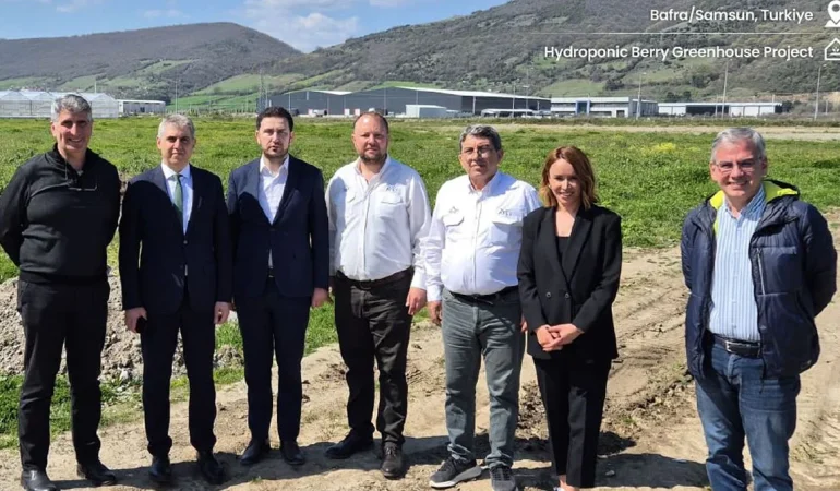 Pure Harvest Samsun Bafra Sera Yatırımı İçin AYS Proje ile İş Birliği