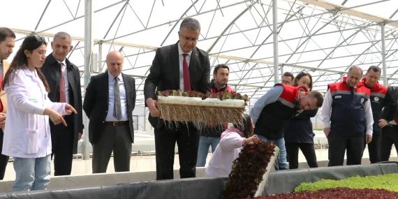 Bafra Sera OTB Modern Seracılıkta Üretim Üssü Olma Yolunda