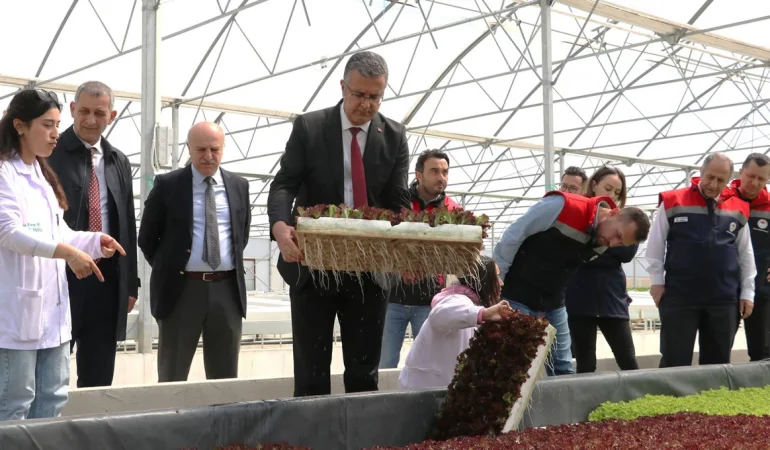 Bafra Sera OTB Modern Seracılıkta Üretim Üssü Olma Yolunda