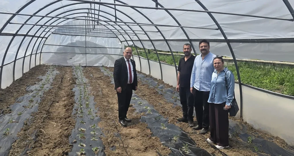 çorum_engelsiz_sera_malçlı