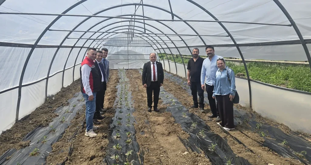 çorum_engelsiz_sera_malçlı2