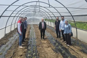 çorum_engelsiz_sera_malçlı2