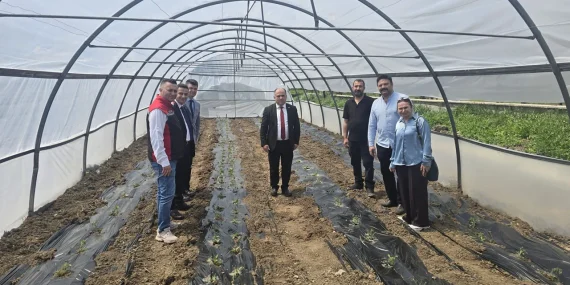 Çorum İl Tarım ve Orman Müdürlüğü Malçlı Sebze Dikimi Gerçekleştirdi