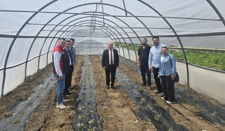 Çorum İl Tarım ve Orman Müdürlüğü Malçlı Sebze Dikimi Gerçekleştirdi