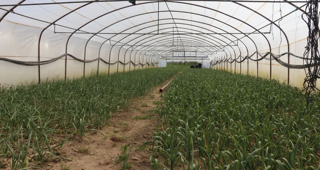 edirne_sera_16042026_2