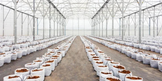 Yağmur Suyu Hasadı Seracılıkta Sürdürülebilir Çözüm Sunuyor