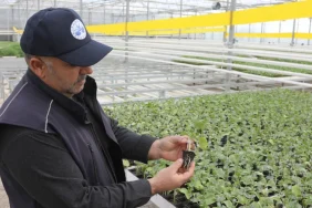 elazıg_sera_06042026