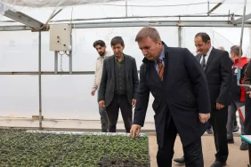 hamza_aydogdu_erzincan_sera