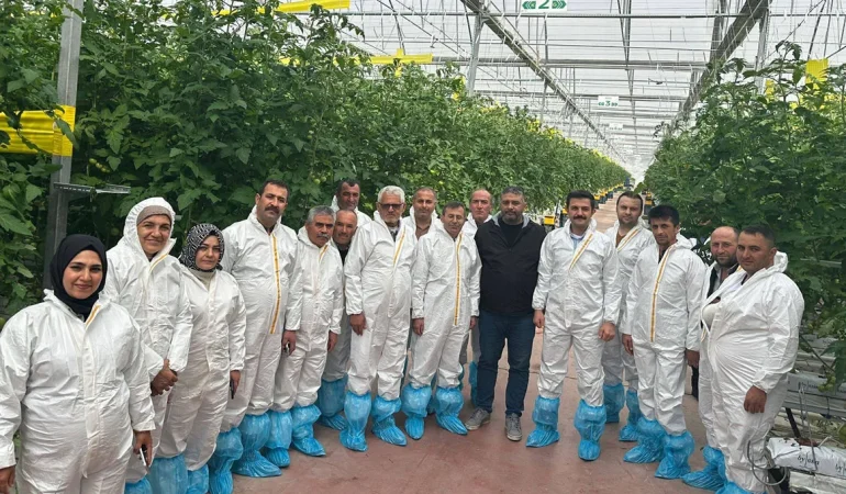 Çorum’da Örtü Altı Üreticilerine Teknik Gezi: Modern Seracılık Yerinde Anlatıldı