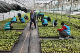 sanliurfa_denetimliserbestlik