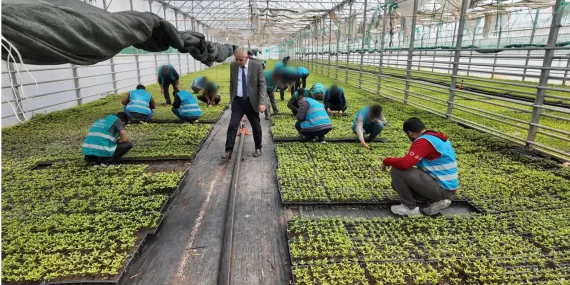 Şanlıurfa’da Denetimli Serbestlikte Tarım Modeli