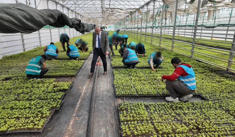 Şanlıurfa’da Denetimli Serbestlikte Tarım Modeli