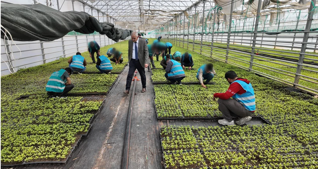 sanliurfa_denetimliserbestlik