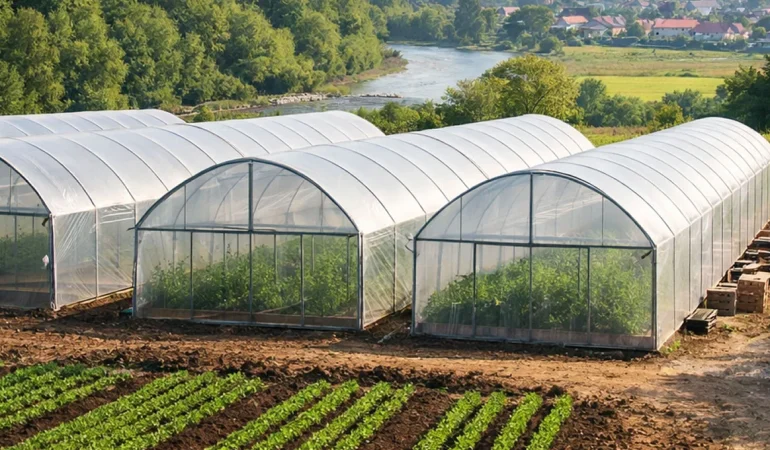 Ordu da 10 Adet Sera Kurulumu İçin İhale Süreci Başladı
