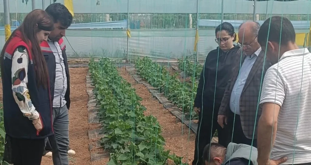 silopi_sera_15042026