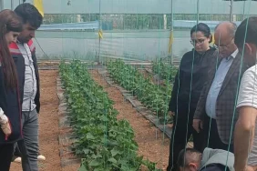 silopi_sera_15042026