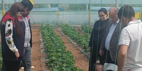 Silopi de Sera Ziyareti ile Örtü Altı Üretim Yerinde İncelendi