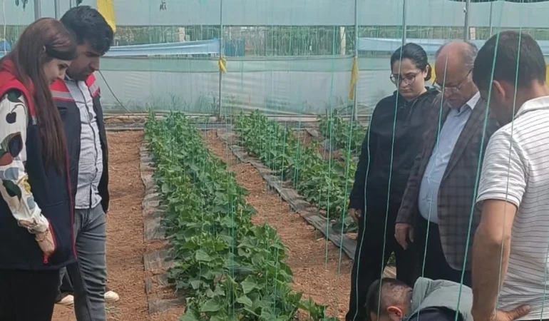 Silopi de Sera Ziyareti ile Örtü Altı Üretim Yerinde İncelendi