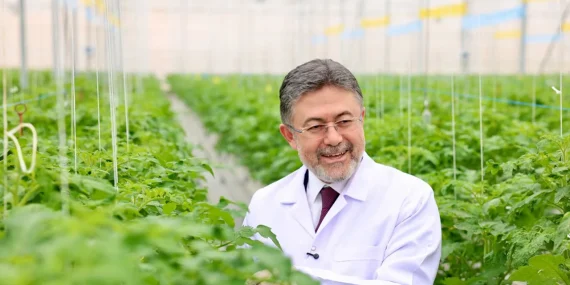 Bafra Sera Organize Tarım Bölgesi 4 Milyar Liralık Yatırımla Üretim Üssü Oldu