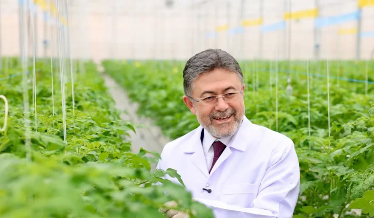 Bafra Sera Organize Tarım Bölgesi 4 Milyar Liralık Yatırımla Üretim Üssü Oldu