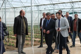 Erzincan Toplu Sera Bölgesi 08.05.2026_2